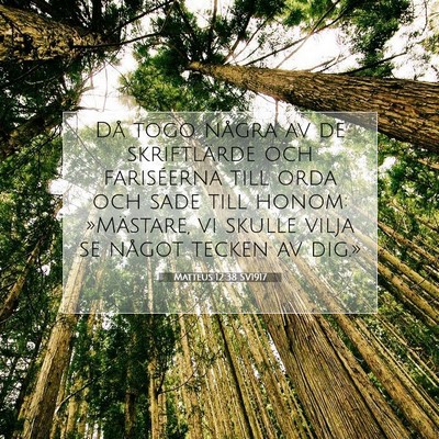 Picture 07 - Matteus 12:38 SV1917 - Då togo några av de skriftlärde och - Bible Verse Picture