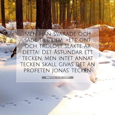 Picture 07 - Matteus 12:39 SV1917 - Men han svarade och sade till dem: »Ett ont och - Bible Verse Picture