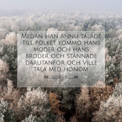 Picture 07 - Matteus 12:46 SV1917 - Medan han ännu talade till folket, kommo hans - Bible Verse Picture