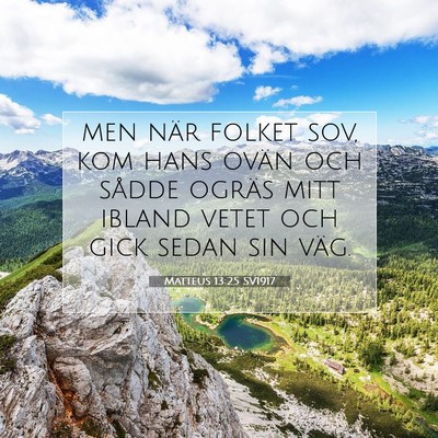 Picture 07 - Matteus 13:25 SV1917 - men när folket sov, kom hans ovän och sådde - Bible Verse Picture