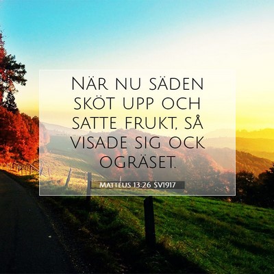 Picture 07 - Matteus 13:26 SV1917 - När nu säden sköt upp och satte frukt, så - Bible Verse Picture