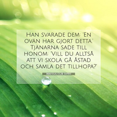Picture 07 - Matteus 13:28 SV1917 - Han svarade dem: 'En ovän har gjort detta.' - Bible Verse Picture