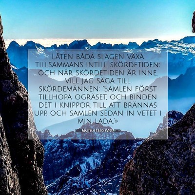 Picture 07 - Matteus 13:30 SV1917 - Låten båda slagen växa tillsammans intill - Bible Verse Picture