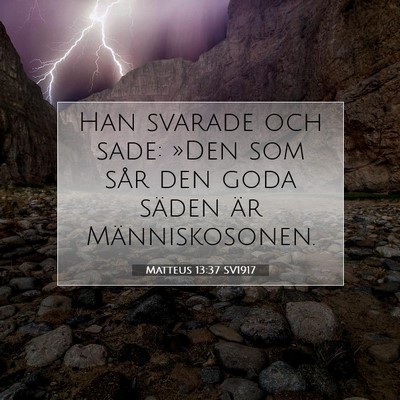 Picture 07 - Matteus 13:37 SV1917 - Han svarade och sade: »Den som sår den goda - Bible Verse Picture