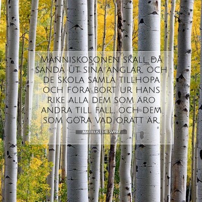 Picture 07 - Matteus 13:41 SV1917 - Människosonen skall då sända ut sina änglar, - Bible Verse Picture