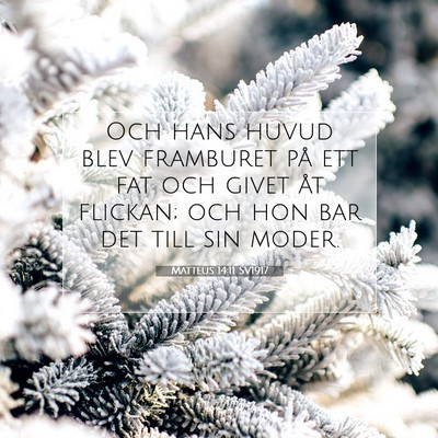 Picture 07 - Matteus 14:11 SV1917 - Och hans huvud blev framburet på ett fat och - Bible Verse Picture