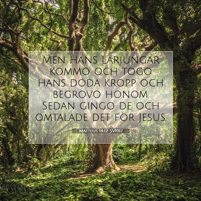 Picture 07 - Matteus 14:12 SV1917 - Men hans lärjungar kommo och togo hans döda - Bible Verse Picture