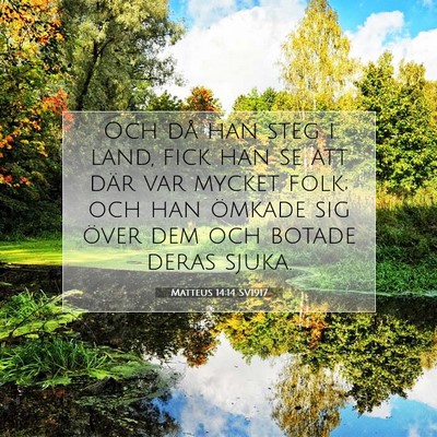 Picture 07 - Matteus 14:14 SV1917 - Och då han steg i land, fick han se att där var - Bible Verse Picture