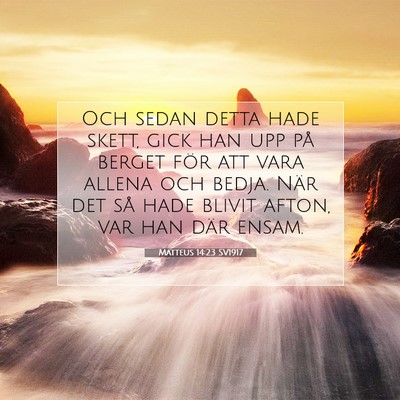 Picture 07 - Matteus 14:23 SV1917 - Och sedan detta hade skett, gick han upp på - Bible Verse Picture