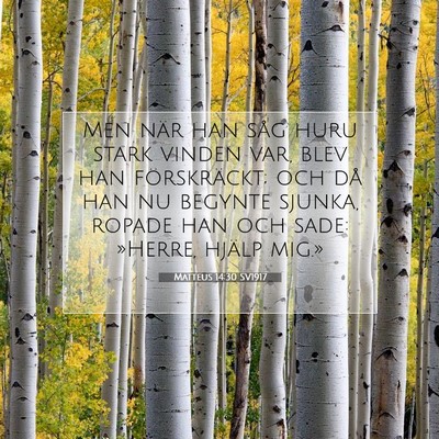 Picture 07 - Matteus 14:30 SV1917 - Men när han såg huru stark vinden var, blev han - Bible Verse Picture