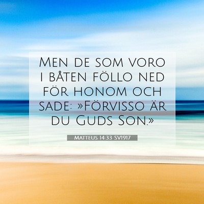 Picture 07 - Matteus 14:33 SV1917 - Men de som voro i båten föllo ned för honom - Bible Verse Picture