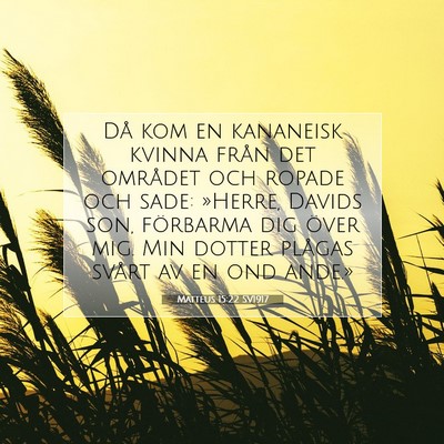 Picture 07 - Matteus 15:22 SV1917 - Då kom en kananeisk kvinna från det området - Bible Verse Picture