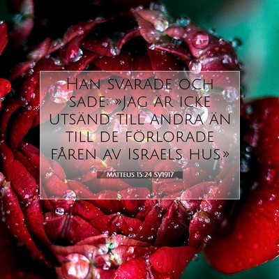 Picture 07 - Matteus 15:24 SV1917 - Han svarade och sade: »Jag är icke utsänd till - Bible Verse Picture