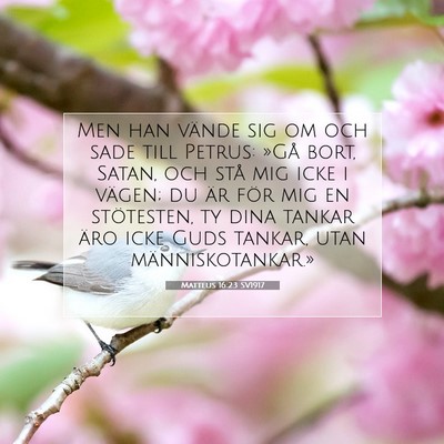 Picture 07 - Matteus 16:23 SV1917 - Men han vände sig om och sade till Petrus: »Gå - Bible Verse Picture