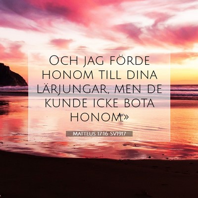 Picture 07 - Matteus 17:16 SV1917 - Och jag förde honom till dina lärjungar, men de - Bible Verse Picture