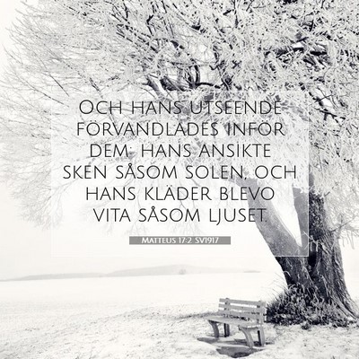 Picture 07 - Matteus 17:2 SV1917 - Och hans utseende förvandlades inför dem: hans - Bible Verse Picture