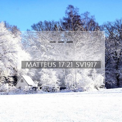Picture 07 - Matteus 17:21 SV1917 -  - Bible Verse Picture