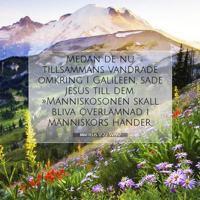 Picture 07 - Matteus 17:22 SV1917 - Medan de nu tillsammans vandrade omkring i - Bible Verse Picture