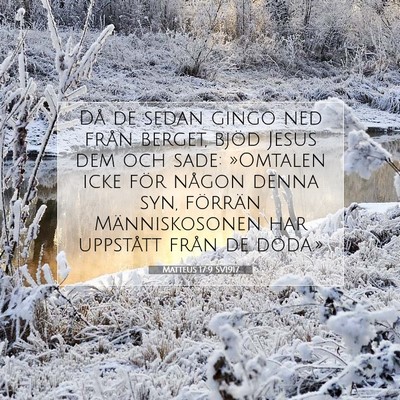 Picture 07 - Matteus 17:9 SV1917 - Då de sedan gingo ned från berget, bjöd Jesus - Bible Verse Picture
