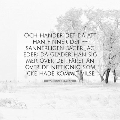 Picture 07 - Matteus 18:13 SV1917 - Och händer det då att han finner det -- - Bible Verse Picture