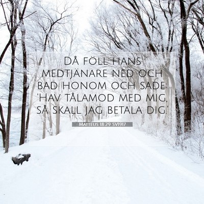 Picture 07 - Matteus 18:29 SV1917 - Då föll hans medtjänare ned och bad honom och - Bible Verse Picture