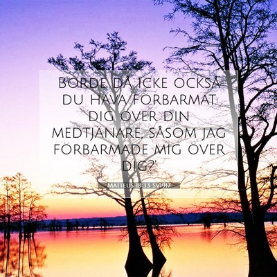 Picture 07 - Matteus 18:33 SV1917 - Borde då icke också du hava förbarmat dig - Bible Verse Picture
