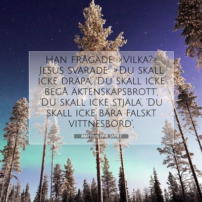 Picture 07 - Matteus 19:18 SV1917 - Han frågade: »Vilka?» Jesus svarade: »'Du - Bible Verse Picture