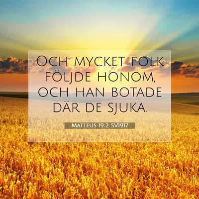 Picture 07 - Matteus 19:2 SV1917 - Och mycket folk följde honom, och han botade - Bible Verse Picture