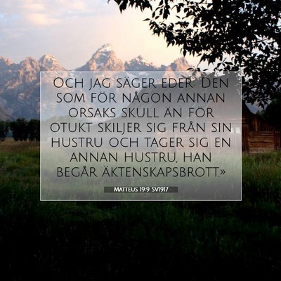 Picture 07 - Matteus 19:9 SV1917 - Och jag säger eder: Den som för någon annan - Bible Verse Picture