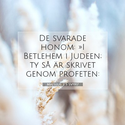 Picture 07 - Matteus 2:5 SV1917 - De svarade honom: »I Betlehem i Judeen; ty så - Bible Verse Picture