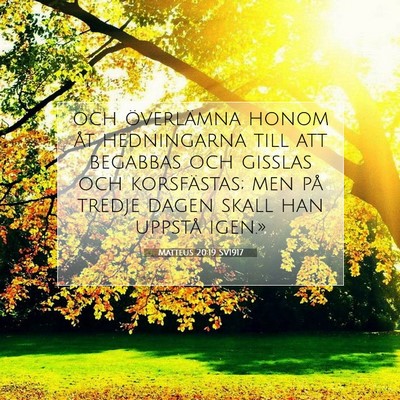 Picture 07 - Matteus 20:19 SV1917 - och överlämna honom åt hedningarna till att - Bible Verse Picture