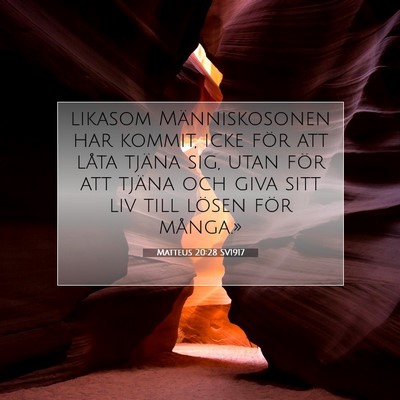 Picture 07 - Matteus 20:28 SV1917 - likasom Människosonen har kommit, icke för att - Bible Verse Picture