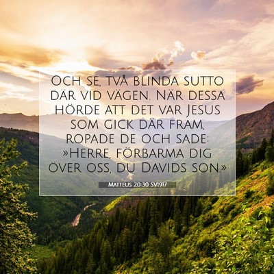 Picture 07 - Matteus 20:30 SV1917 - Och se, två blinda sutto där vid vägen. När - Bible Verse Picture