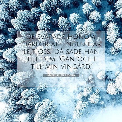 Picture 07 - Matteus 20:7 SV1917 - De svarade honom: 'Därför att ingen har lejt - Bible Verse Picture