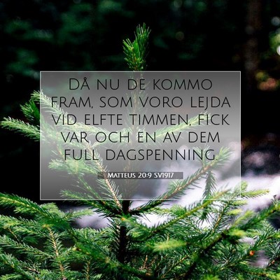 Picture 07 - Matteus 20:9 SV1917 - Då nu de kommo fram, som voro lejda vid elfte - Bible Verse Picture