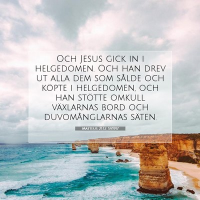 Picture 07 - Matteus 21:12 SV1917 - Och Jesus gick in i helgedomen. Och han drev ut - Bible Verse Picture