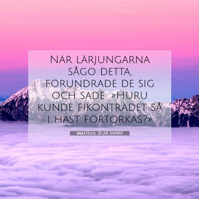 Picture 07 - Matteus 21:20 SV1917 - När lärjungarna sågo detta, förundrade de sig - Bible Verse Picture