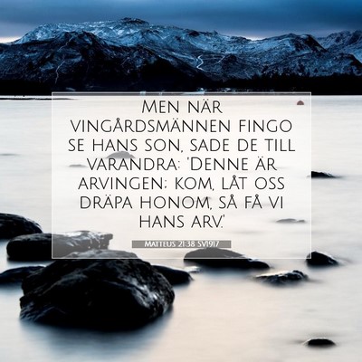 Picture 07 - Matteus 21:38 SV1917 - Men när vingårdsmännen fingo se hans son, sade - Bible Verse Picture