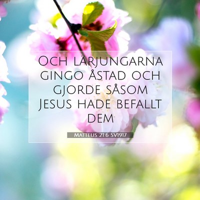 Picture 07 - Matteus 21:6 SV1917 - Och lärjungarna gingo åstad och gjorde såsom - Bible Verse Picture