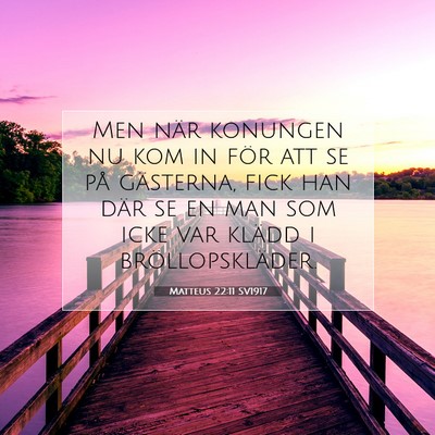 Picture 07 - Matteus 22:11 SV1917 - Men när konungen nu kom in för att se på - Bible Verse Picture