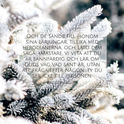 Picture 07 - Matteus 22:16 SV1917 - Och de sände till honom sina lärjungar, tillika - Bible Verse Picture