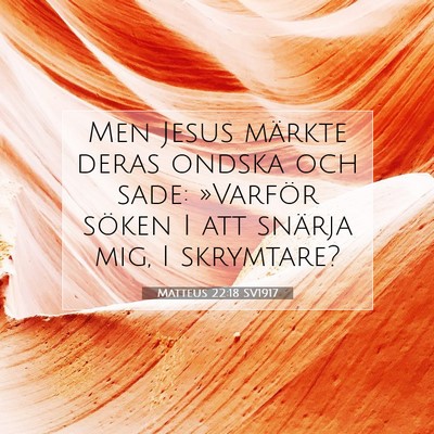 Picture 07 - Matteus 22:18 SV1917 - Men Jesus märkte deras ondska och sade: - Bible Verse Picture