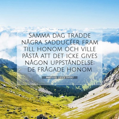 Picture 07 - Matteus 22:23 SV1917 - Samma dag trädde några sadducéer fram till - Bible Verse Picture