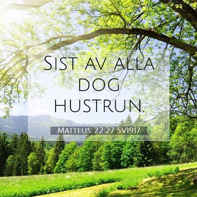 Picture 07 - Matteus 22:27 SV1917 - Sist av alla dog - Bible Verse Picture