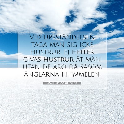 Picture 07 - Matteus 22:30 SV1917 - Vid uppståndelsen taga män sig icke hustrur, ej - Bible Verse Picture