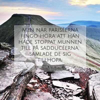 Picture 07 - Matteus 22:34 SV1917 - Men när fariséerna fingo höra att han hade - Bible Verse Picture