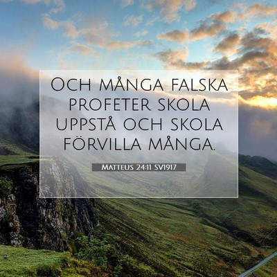 Picture 07 - Matteus 24:11 SV1917 - Och många falska profeter skola uppstå och - Bible Verse Picture