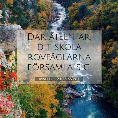 Picture 07 - Matteus 24:28 SV1917 - Där åteln är, dit skola rovfåglarna församla - Bible Verse Picture