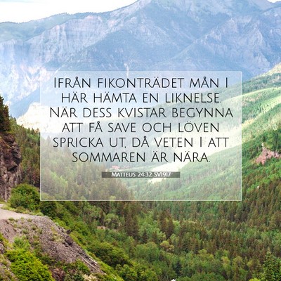 Picture 07 - Matteus 24:32 SV1917 - Ifrån fikonträdet mån I här hämta en - Bible Verse Picture