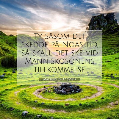 Picture 07 - Matteus 24:37 SV1917 - Ty såsom det skedde på Noas tid, så skall det - Bible Verse Picture